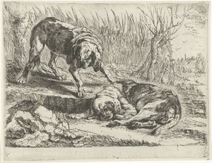 2匹の犬 作： Jan Fyt